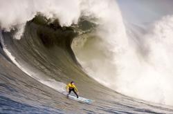 开云足球直播-灰熊关键战突围辽宁队，英格拉姆成为关键先生