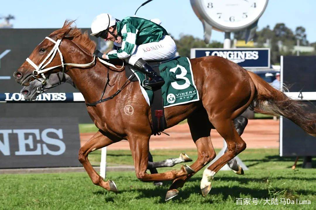 包含澳大利亚田径选手突破自我,斩获冠军的词条 包含澳大利亚田径选手突破自我,斩获冠军的词条