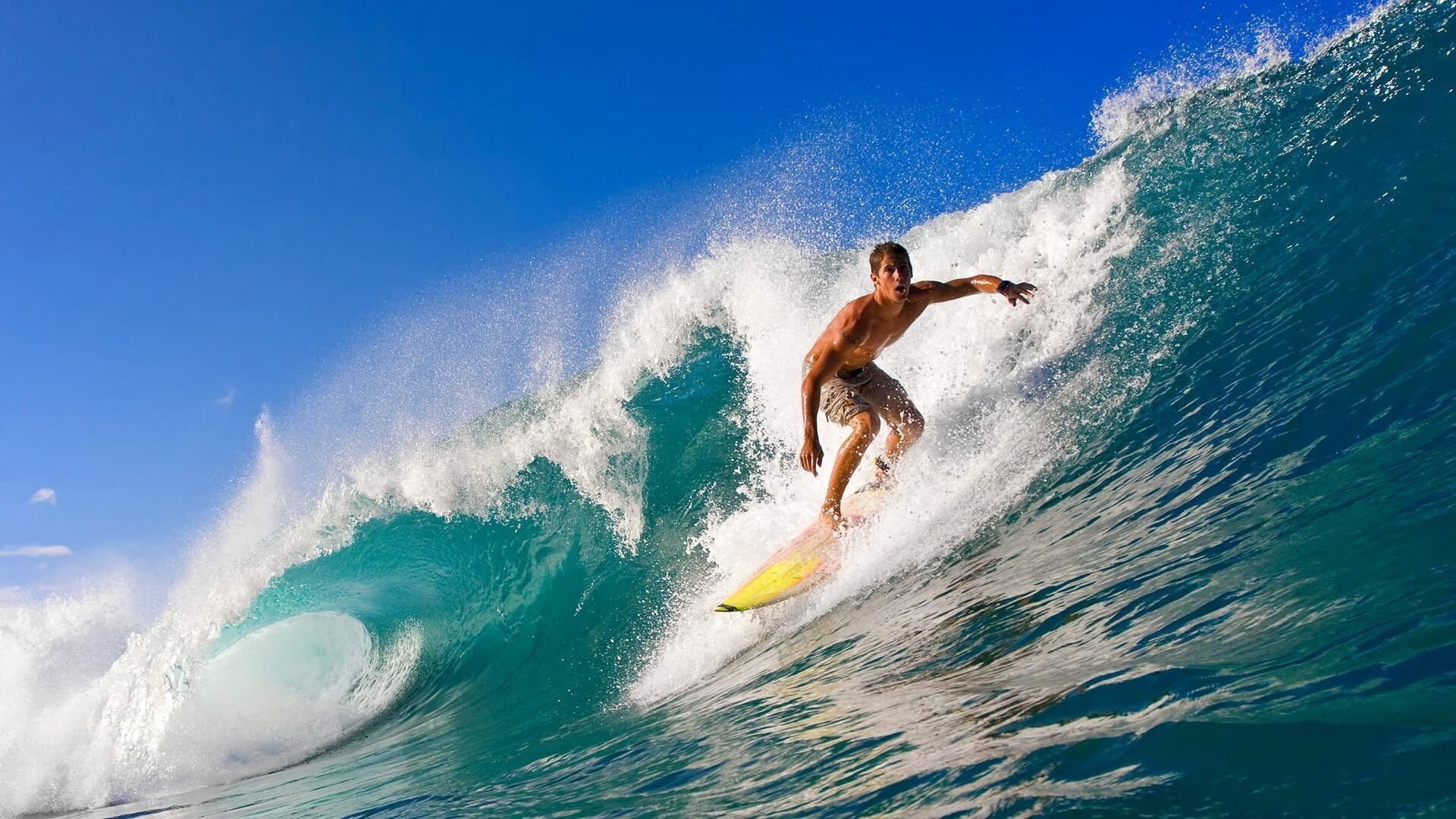 年度焦点之战之夜,福克斯进攻端无人可挡,改写联盟格局